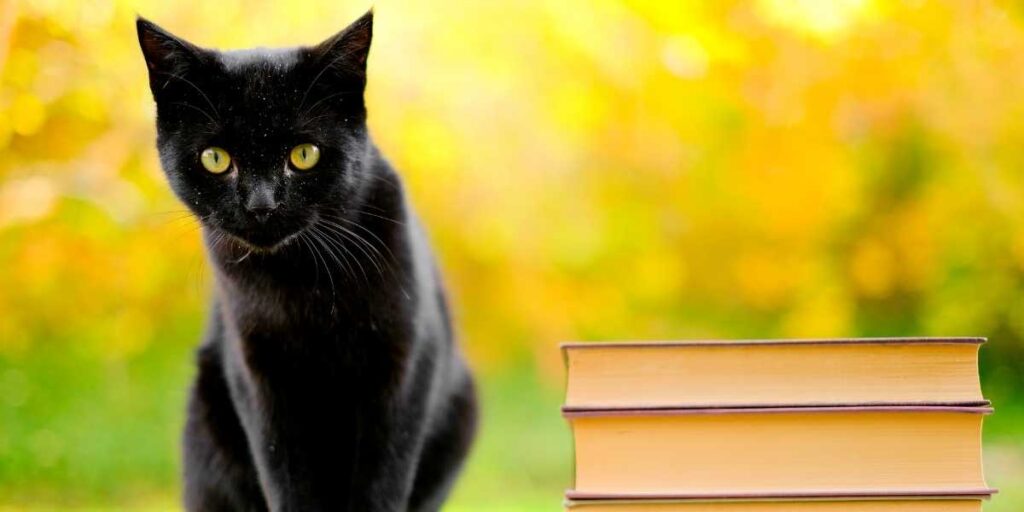 insanlar neden batıl inançlara inanır