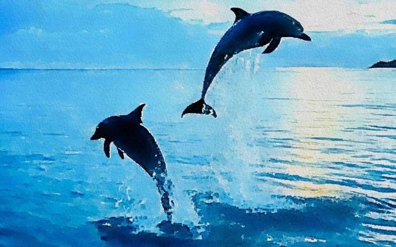 hayvanlar nasıl iletisim kurar