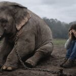 öğrenilmiş çaresizlik nedir