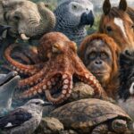 hayvanların hafızası ne kadar güçlü